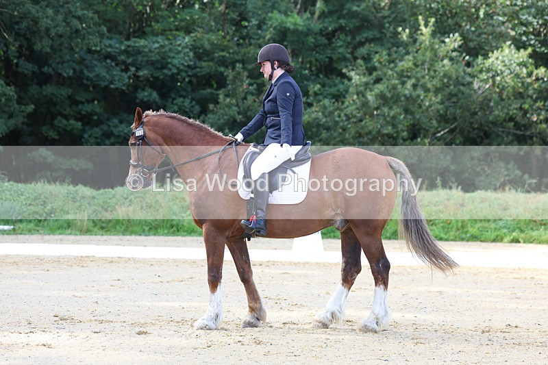 3E7A2281 - Class 1: Intro 4 2024 section A