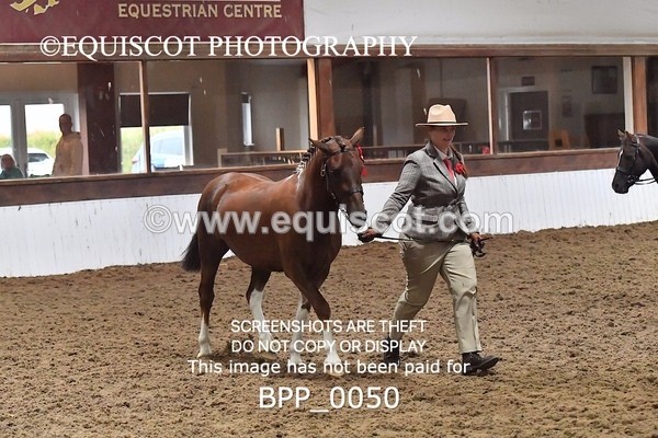 BPP_0050 - RING 1