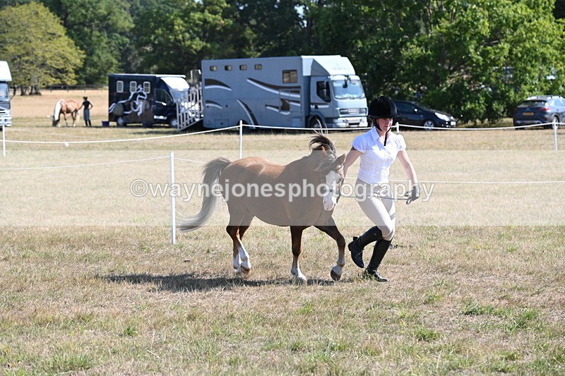 WJ6_7492 - Class 34 Judges Choice