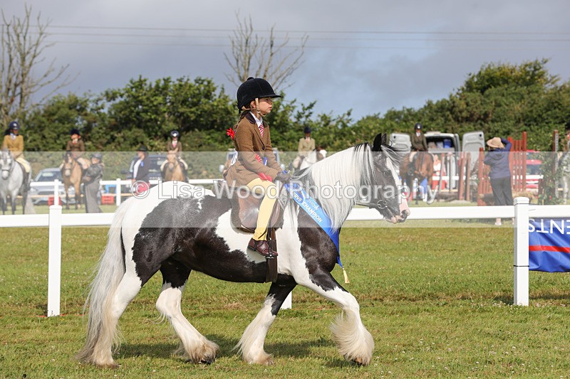 1X9A3535 - Skewbald and Piebald Ridden Championship