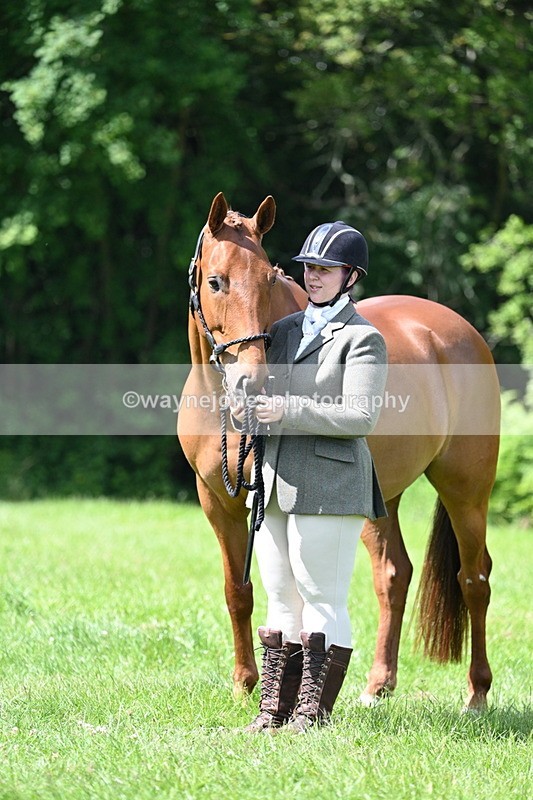 WJ7_1480 - Class 11 Condition & Turnout