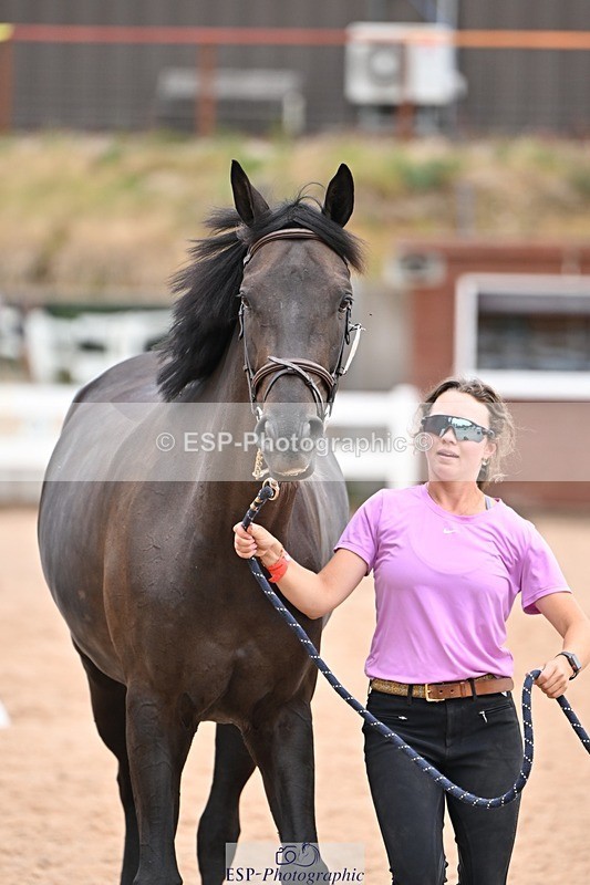 250716-140244-00875 - Trot Up 1.30 to 2.30