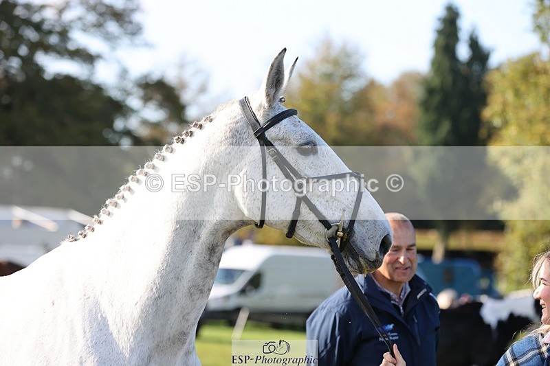 241027-102204-15839 - 560-Hana.Smith-CIPRIANNA.DE.EPSOM