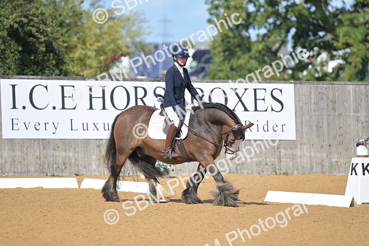 SBM_03939 - D2 - Small Tour Championship Intro 2