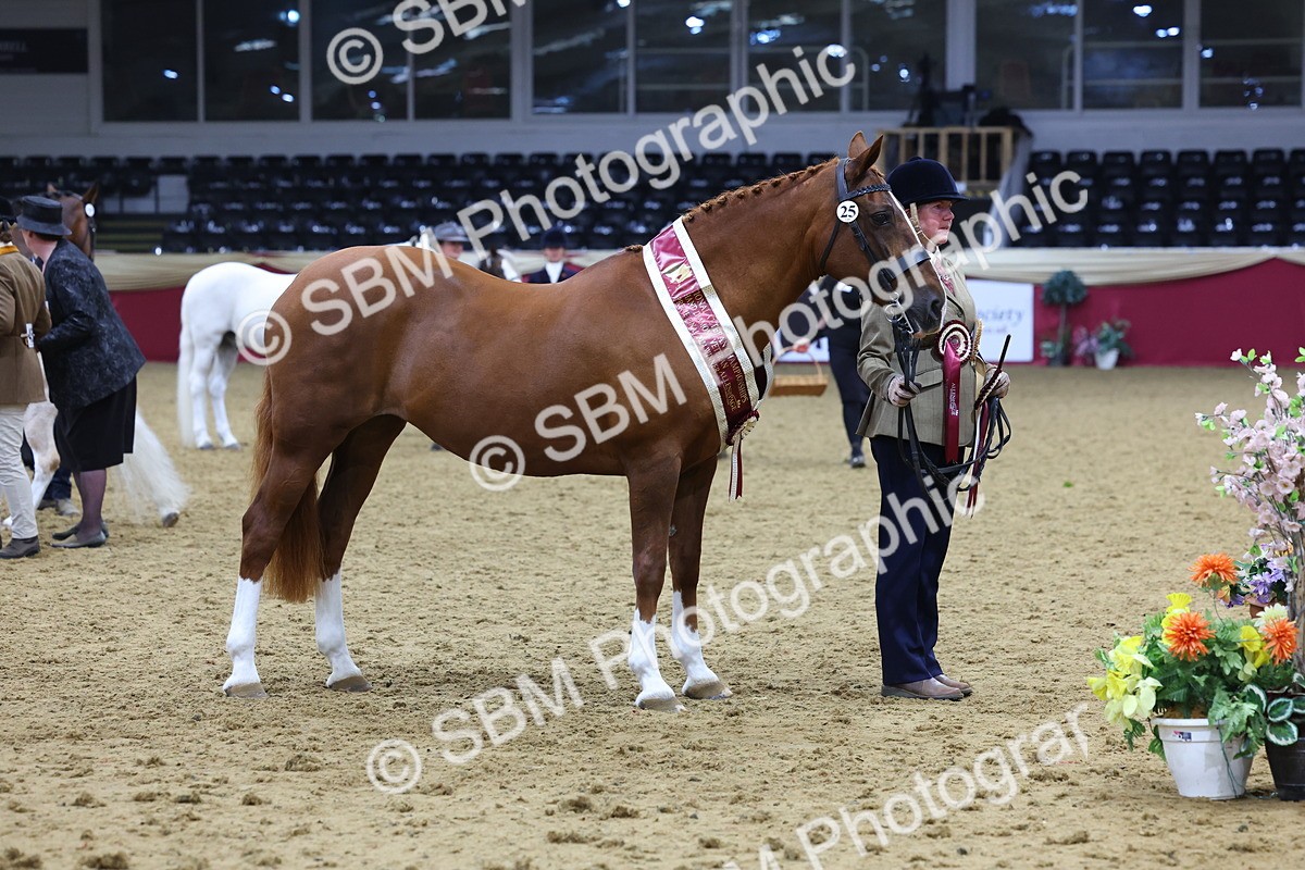 SBM_19802 - Class 901 - Supreme Final - IH Diamond