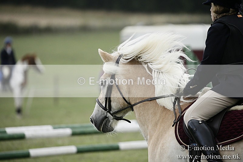 BVR090918 411 - BVRC Dressage and Show Jumping 09/09/18