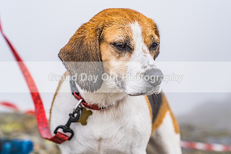 Great Lakes-378 - Great Lakes Fell Race Saturday 29th June 2024