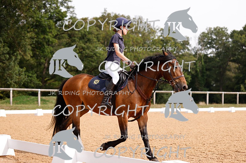_R6A2289 - Dressage Morning