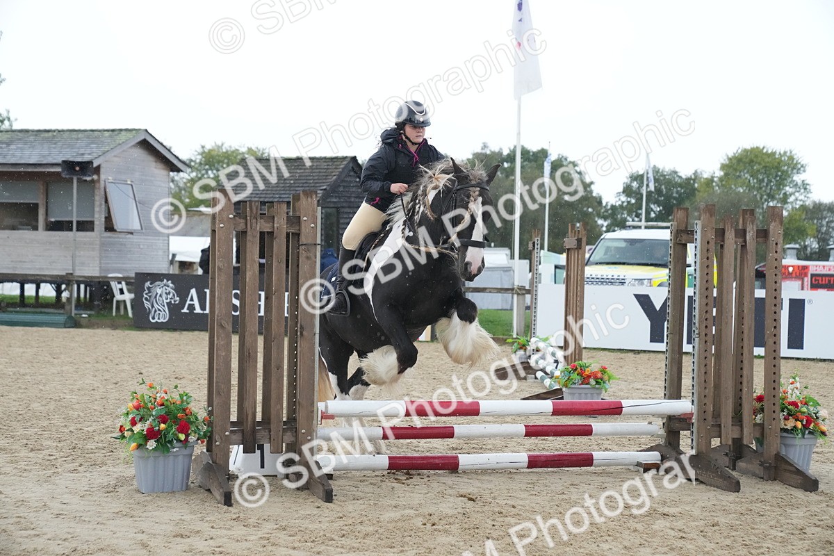 SBM_01571 - J54 - Clear Round 50cm