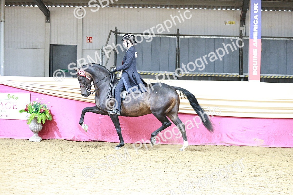SBM_03725 - Class 6A Area Ridden Pre-Vet
