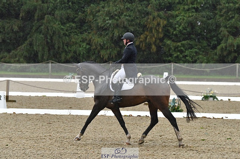 231018-153506-00815 - 011-BIG.QUERLYBET.K.Z-Paul.Whitehead-DR