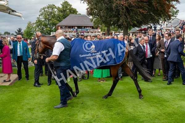 210824-Race 2-The Lion In Winter-4945 - Race 2 2.25pm Tattersalls Acomb Stakes