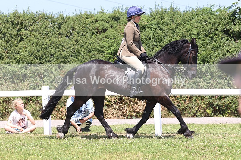 JPP_2723 - Class 21: Working Hunter 60cm