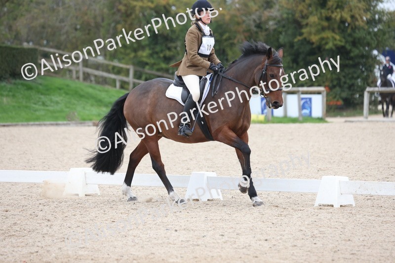 20251011-0484 - Class 4 - Novice 2