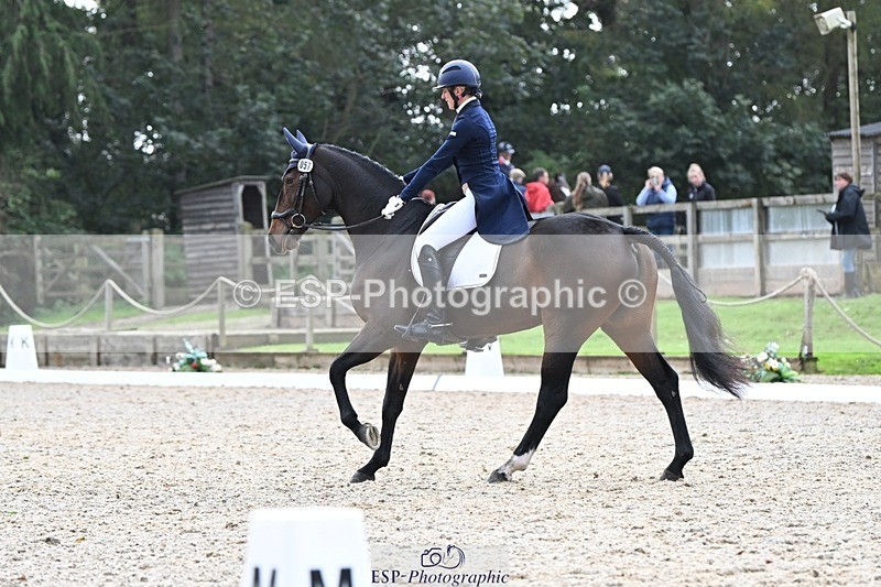 231019-145308-04303 - 057-OVERTON.TILANA'S.GOLD-Claire.Deuten-DR