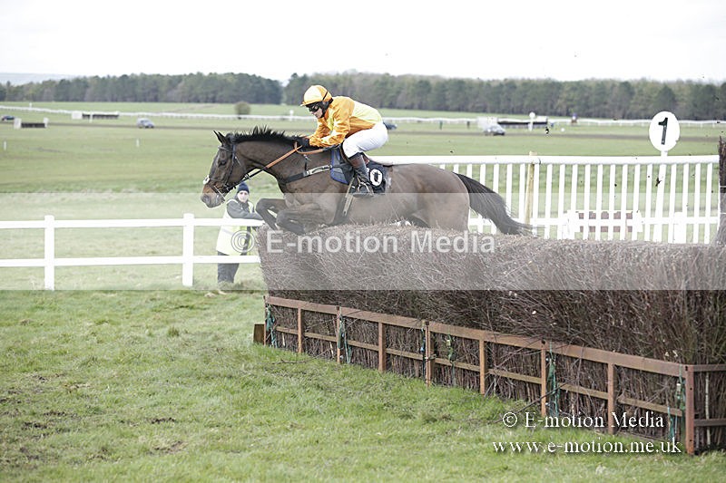 PtP 150320 0721 - New Forest Point-to-Point Larkhill 15/03/20
