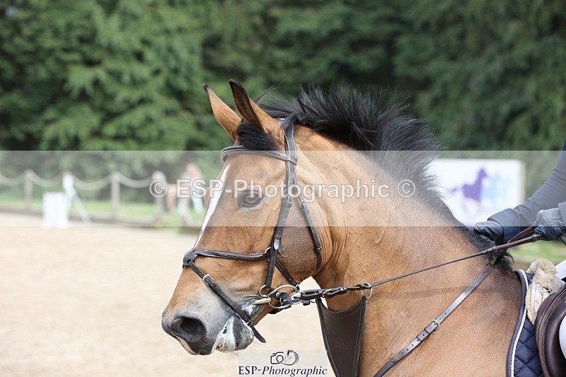 230617-154150-05710 - Cls 09 Blue Chip Pony Newc 2nd Rnd & Jump Off