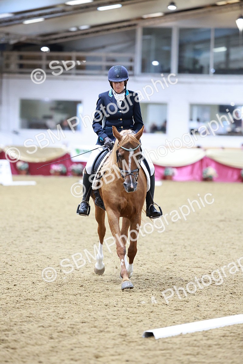 SBM_09748 - Class 61 - Dressage to Music
