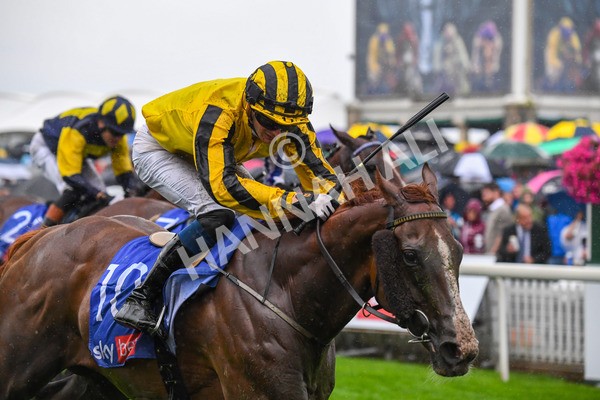 yr21082021r4-74 - Race 4 3.35pm Sky Bet Ebor