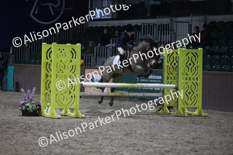 20260125-5180 - Class 5 - 80cm