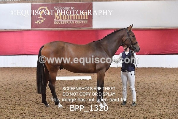 BPP_1320 - MORNING 9AM - 12PM