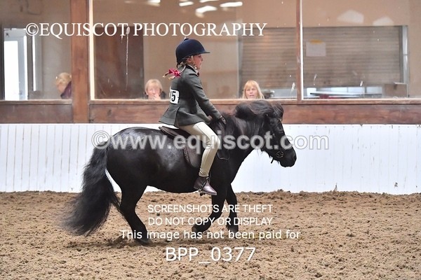 BPP_0377 - RING 1