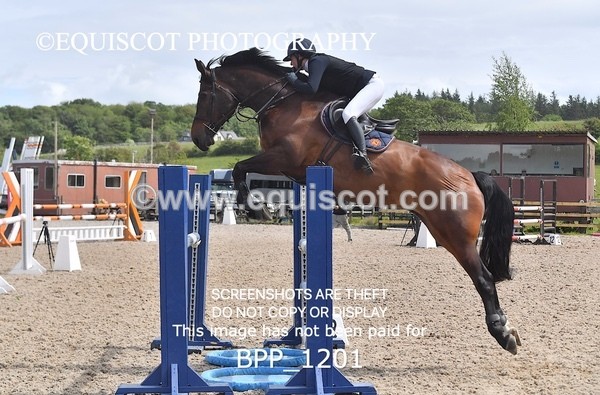 BPP_1201 - Senior Newcomers/ 1.10m Open