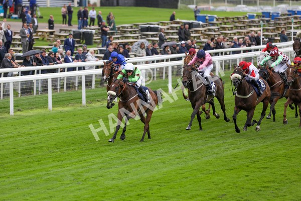 120724-Race 1-Tolstoy-1591 - Race 1 2.05pm William Hill Extra Place Races Daily Handicap