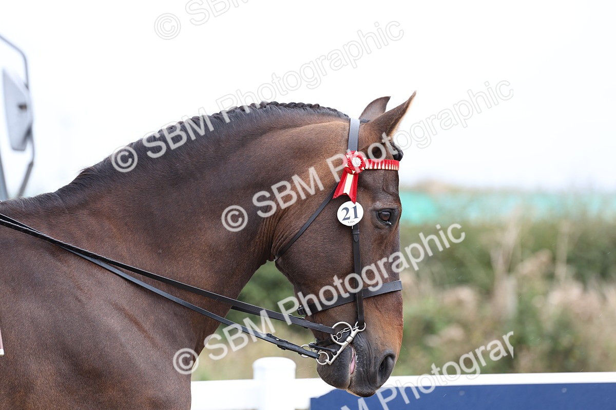 SBM_01403 - Class 51 - Best Turned Out Ridden