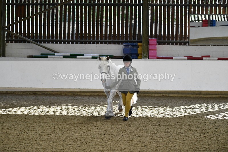 WJ5_3547 - Class 5 In Hand Veterans