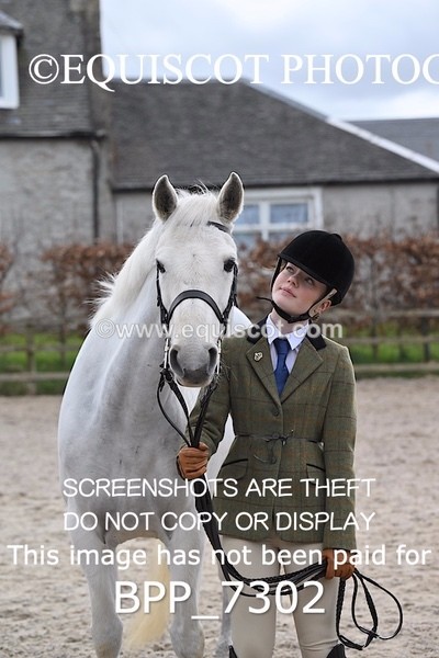 BPP_7302 - RING 1  (RIDDEN HORSES / IN HAND / VETERAN ETC)