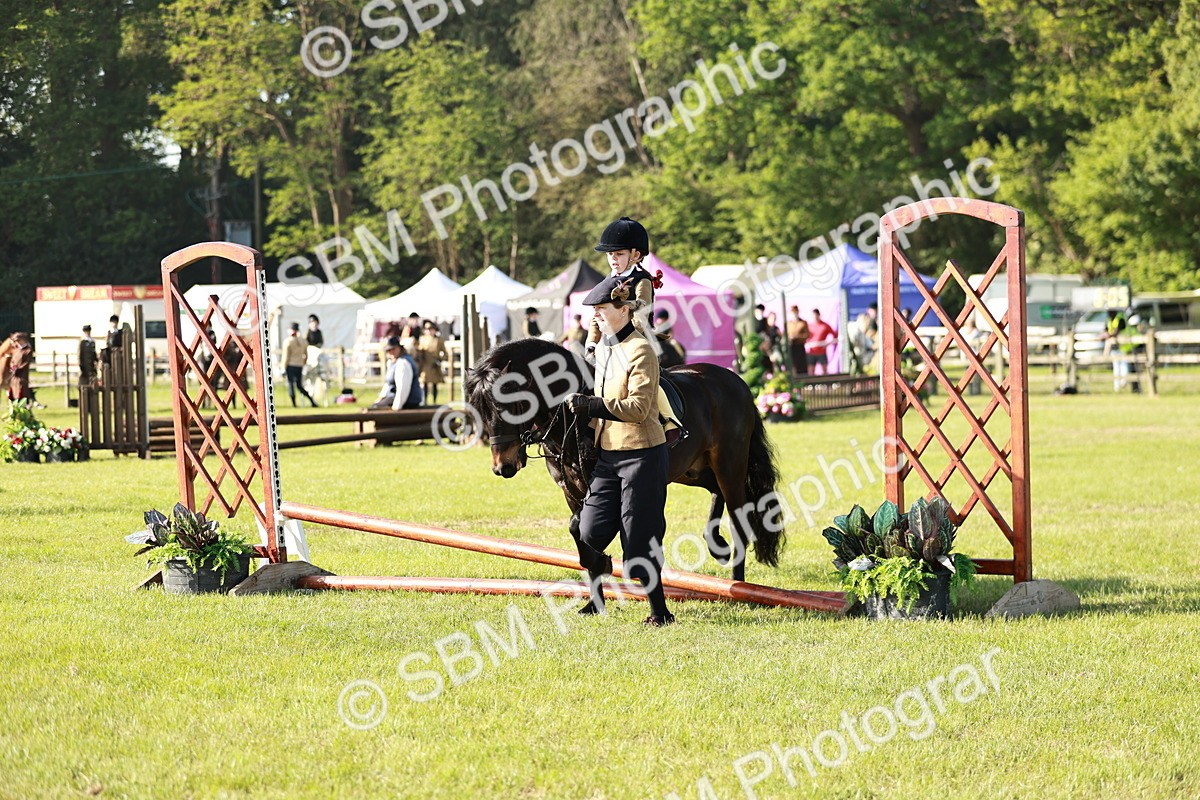 SBM_11158 - Class 106-107 - BSPS LIHS Working Sports Pony
