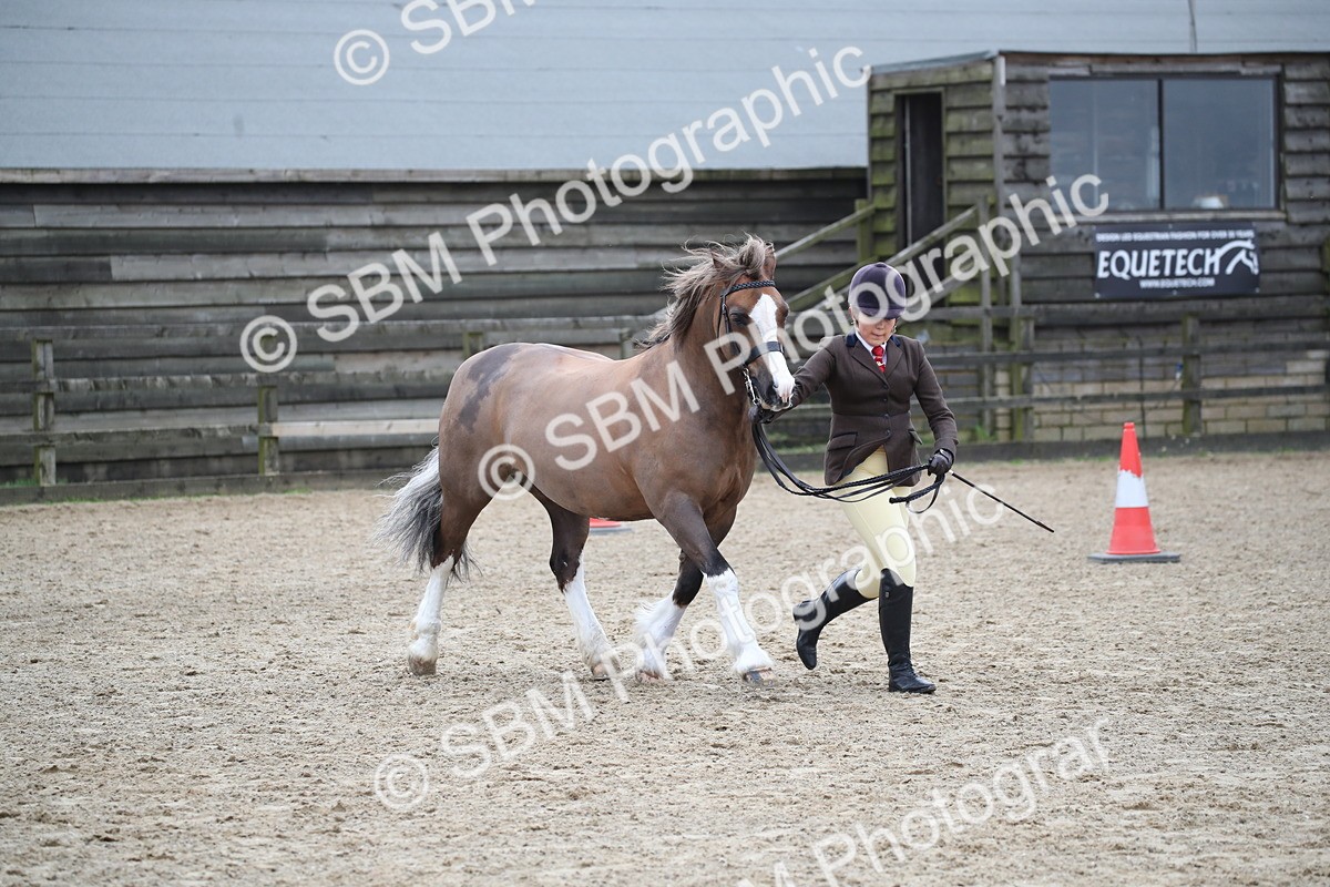 SBM_006167 - Class 10-13 - RIHS Small Large Breeds