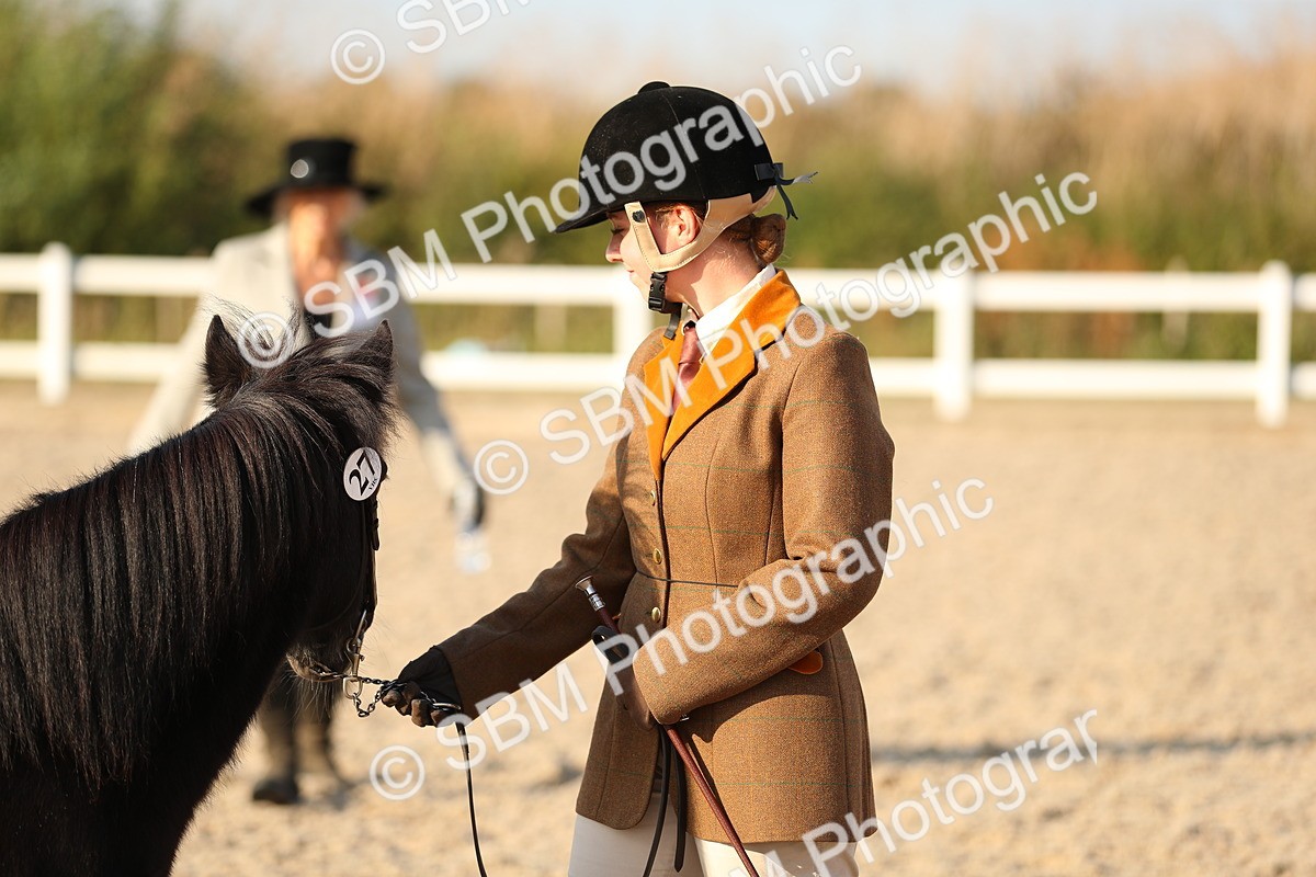 SBM_09026 - Class 29 IH Veteran Pony