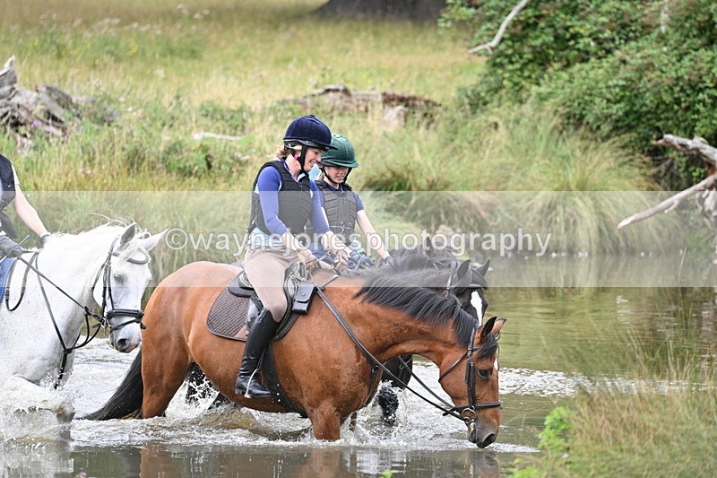 WJ7_2840 - Time at Water 11:37 to 12:13