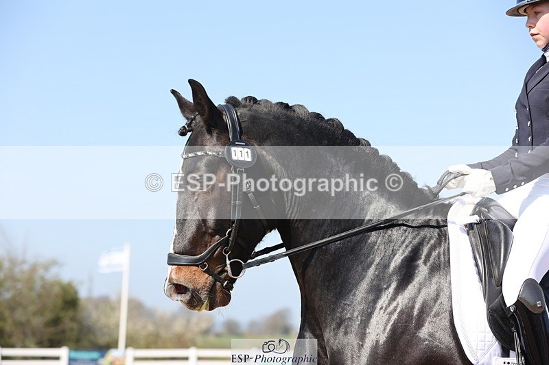 250405-120024-10296 - 111-Ever.Sinfield.Day-Machno.Excalibur