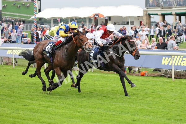 yr24092021r2-22 - Race 2 2.05pm William Hill Extra Places Races Stakes