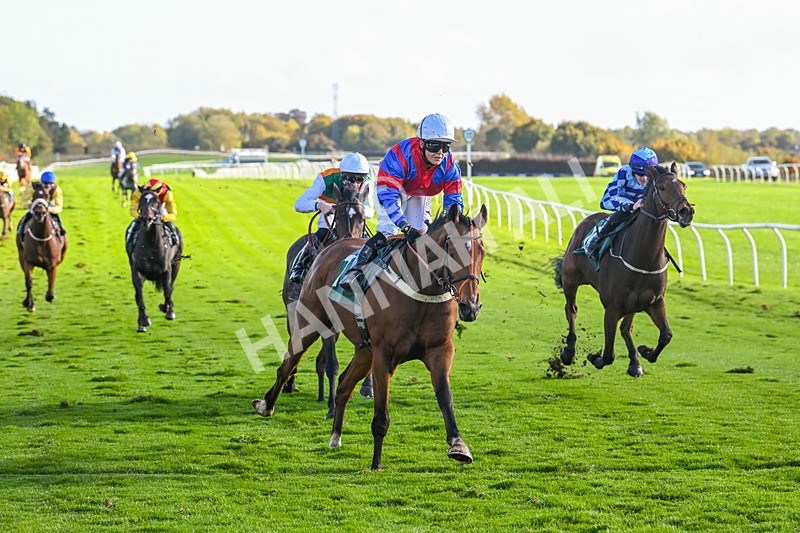 191024-Race 4-Three Dons-4315 - Race 4