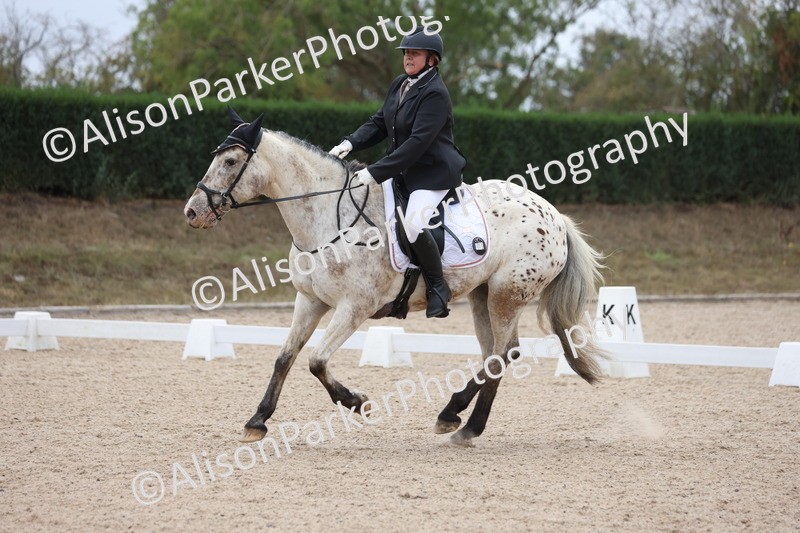 20250820-0299 - Class 9 - My Quest Prelim 3