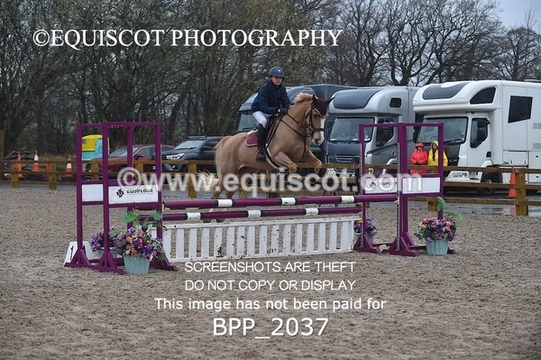 BPP_2037 - CLASS 19 Pony Discovery / 90cm Open