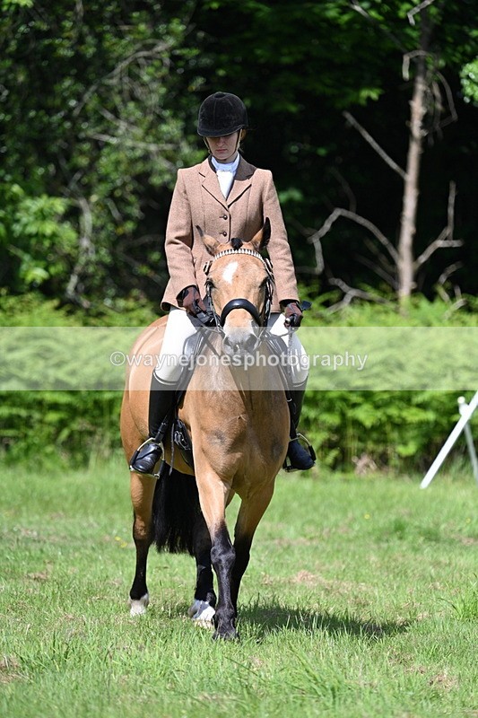 WJ7_1165 - Class 11 Condition & Turnout