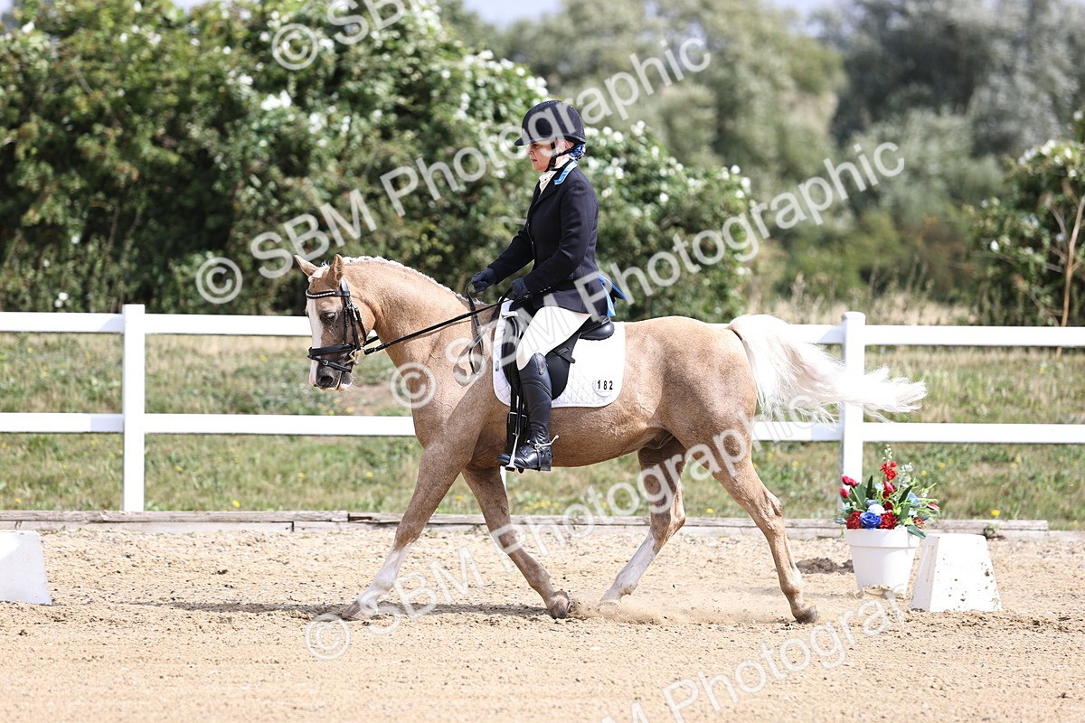 SBM_016186 - Class 14 - Novice 23 - 10.29-11.32