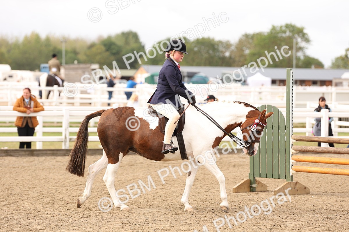 SBM_01515 - Class 52 - Ridden Veteran