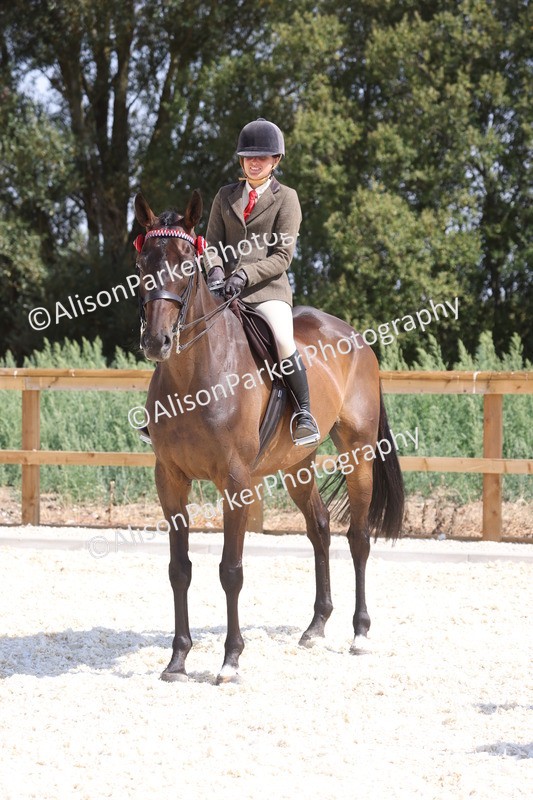 20260802-0741 - Class 8 - Best Riding Horse or Pony
