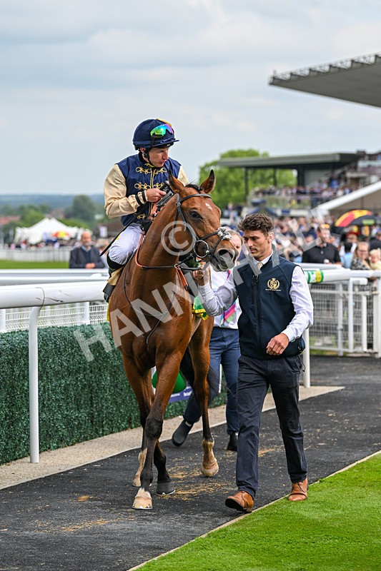 240525-Race 3-Old Is Gold-0928 - Race 3