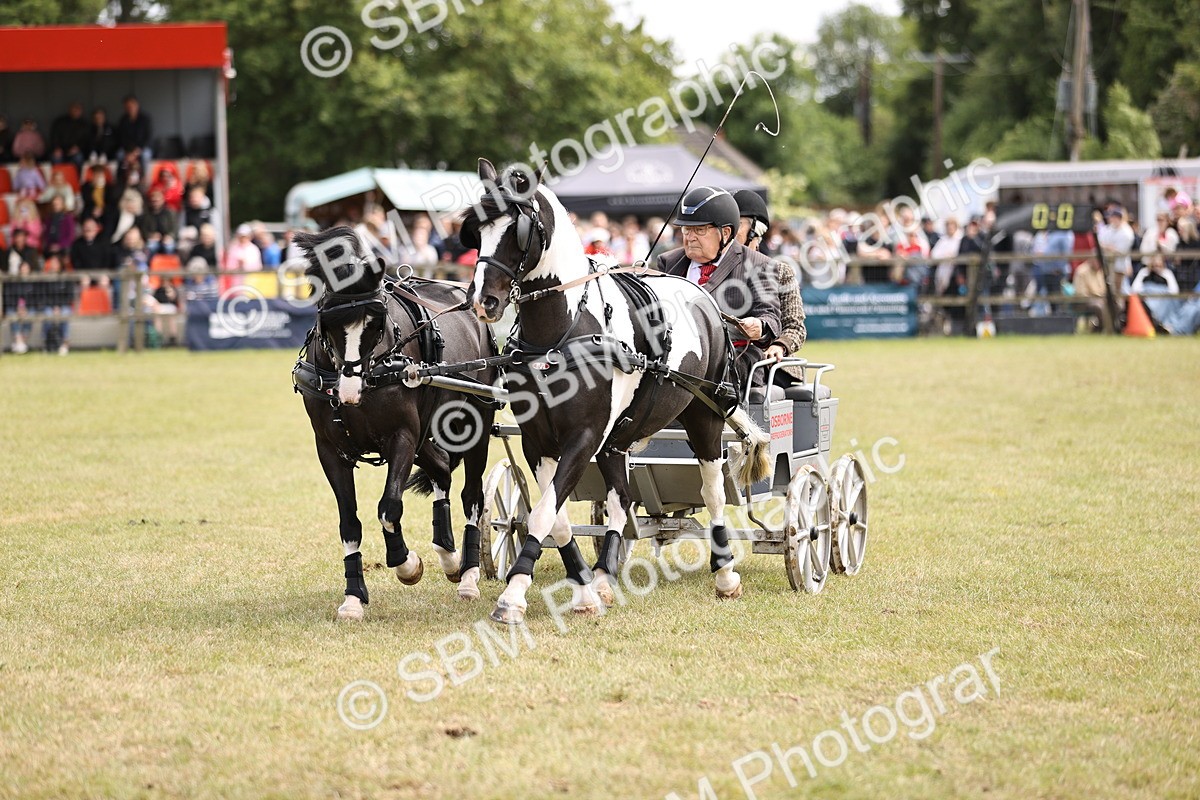 SBM_16067 - Class 91 - Scurry  exceeding 122cms