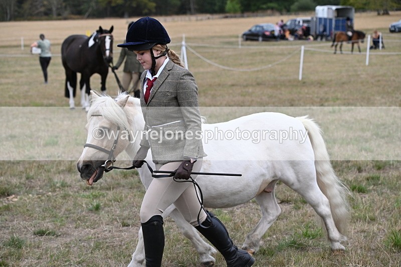 WJ6_6139 - Class 19 In-hand Veterans (Uploaded correct folder)