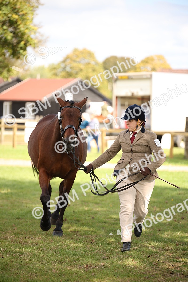 SBM_44463 - S24 - Young Veteran in hand