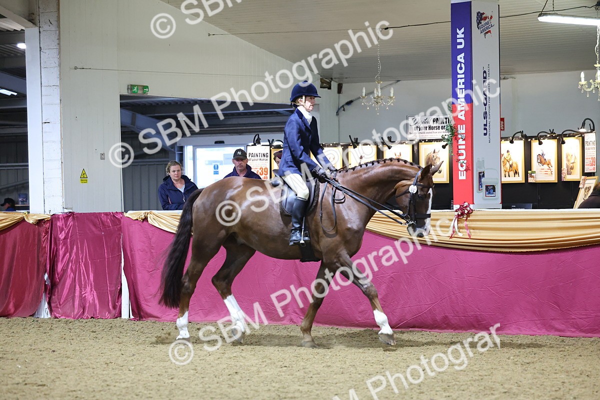 SBM_19145 - Class I Competition/ Riding Club Champ