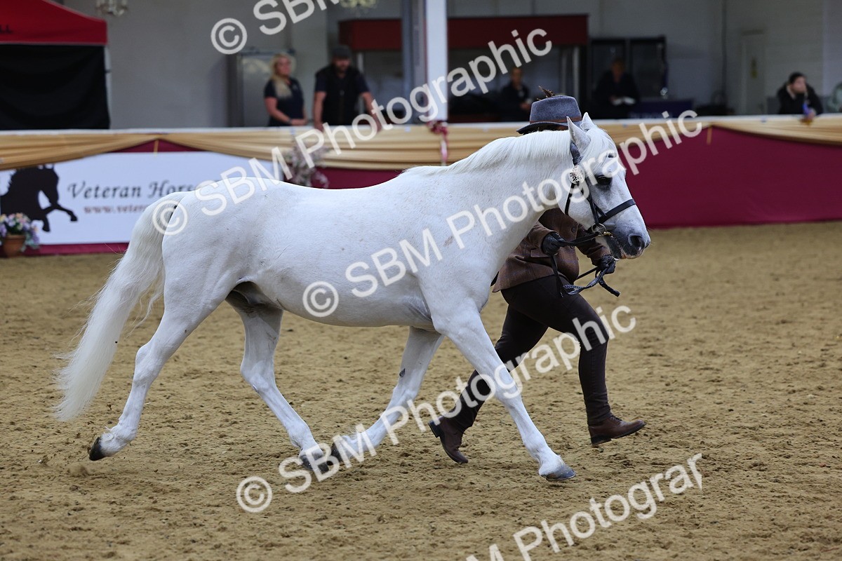 SBM_19533 - Class 901 - Supreme Final - IH Diamond